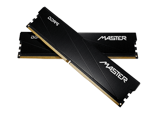 AITC Kingsman Gaming MASTER 16GB DDR5 6000MHz Gaming Desktop RAM (Black)