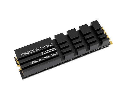 AITC Kingsman Gaming S1000 1TB M.2 PCIe Gen5x4 NVMe 2.0 (DRAM) 2280mm M-Key SSD
