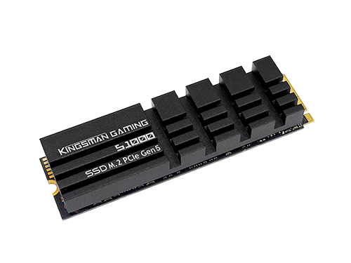 AITC Kingsman Gaming S1000 1TB M.2 PCIe Gen5x4 NVMe 2.0 (DRAM) 2280mm M-Key SSD